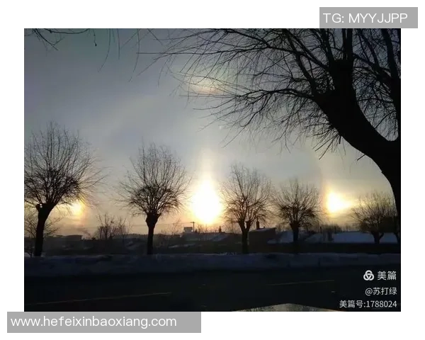 天才球星加斯科因跌宕人生从辉煌绿茵到沉浮人生的传奇故事